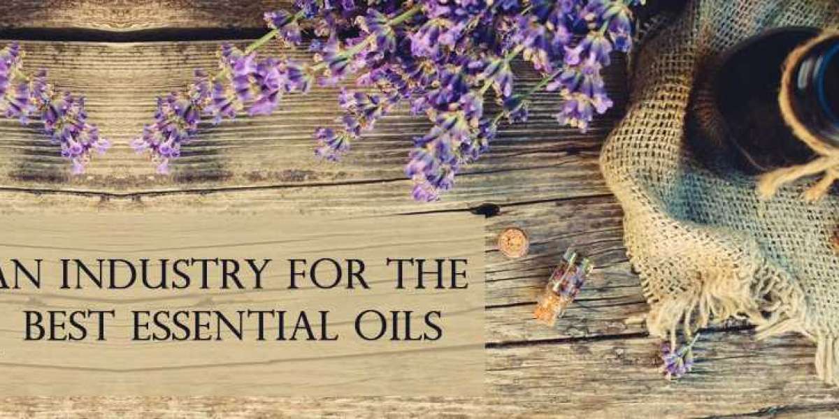 Buy 100% pure and natural Essential Oil in India