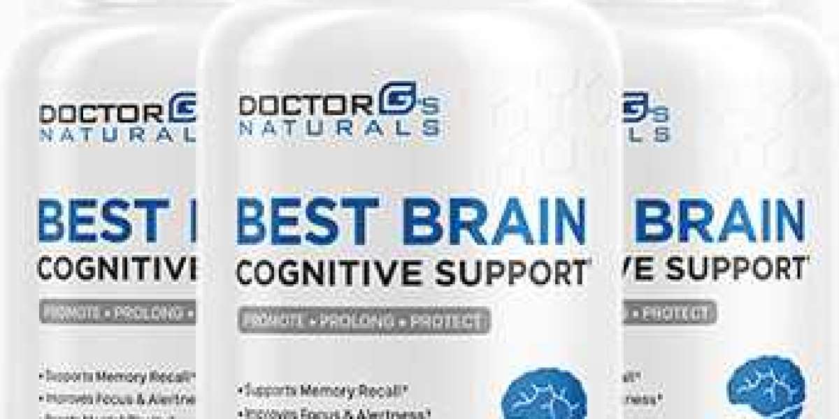 Best Brain Cognitive Support Reviews