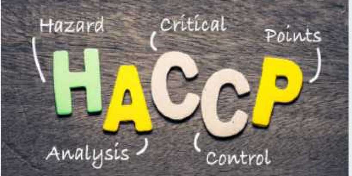 haccp certification cost