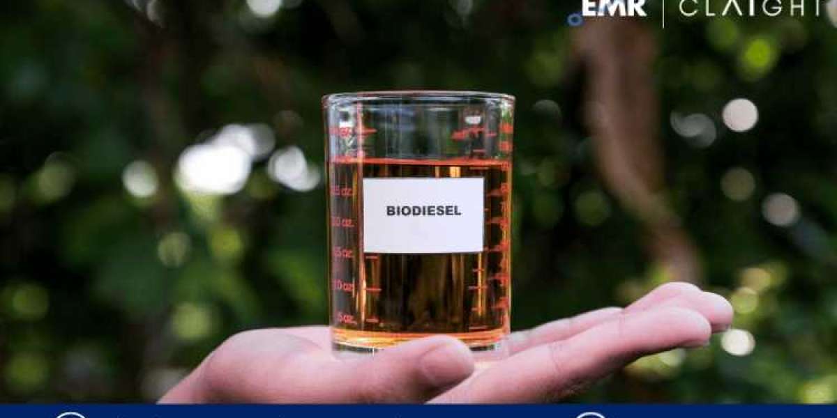 Driving Towards Sustainability: Exploring the Dynamics of the Biodiesel Market