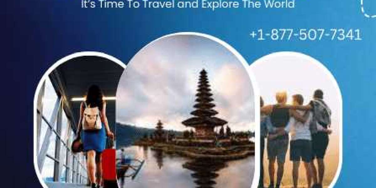 Contact with Swiss Airlines Experts via Booking Number