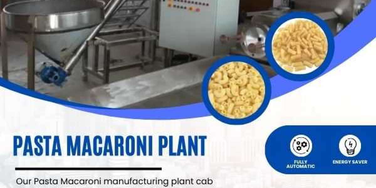 Fortified Rice Plant | Macaroni Making Machine manufacturer in Noida
