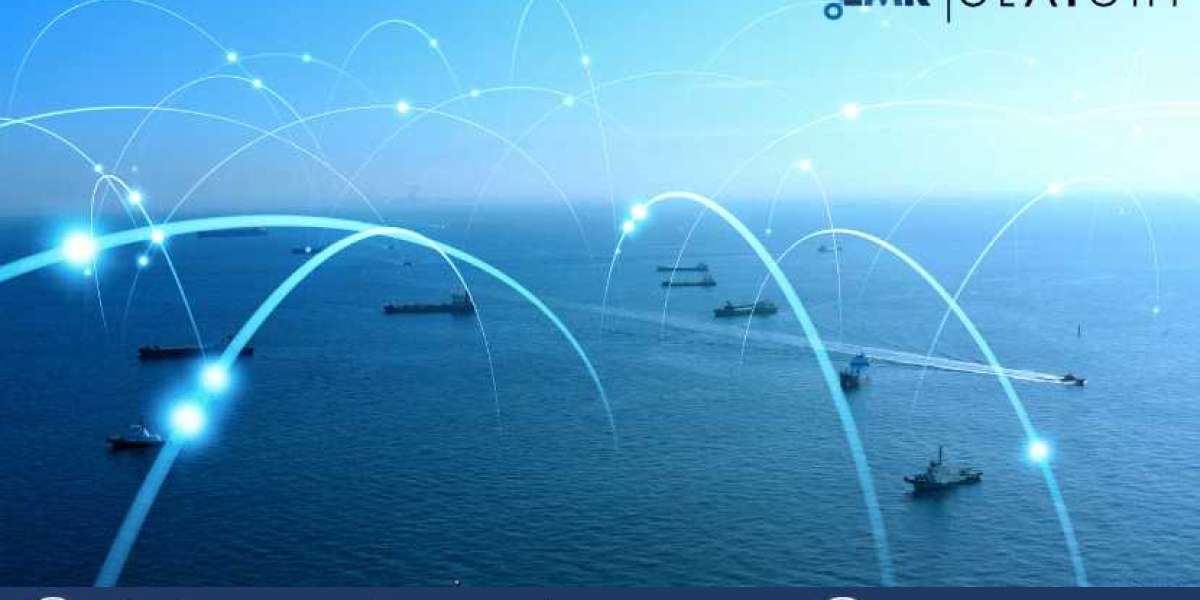 Navigating the Seas of Data: Insights into the Maritime Information Market