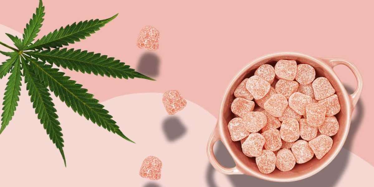 oprah winfrey gummies - 2022's Best CBD Gummies for Pain